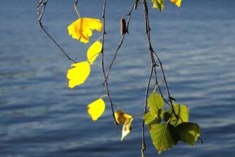 Czorsztyn co zobaczyc