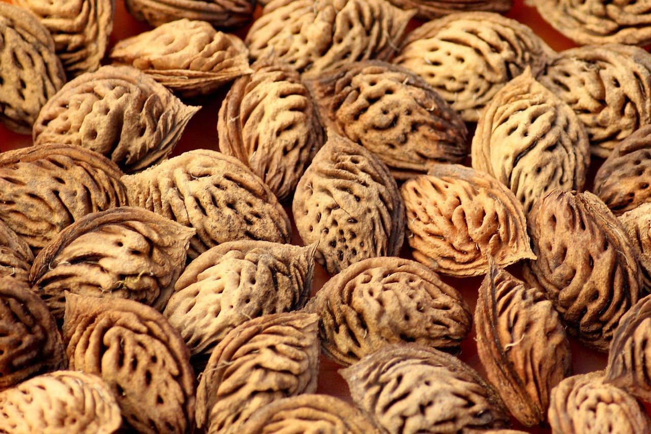 Ile rośnie czereśnia z pestki